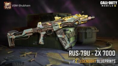 Best RUS-79U Loadout