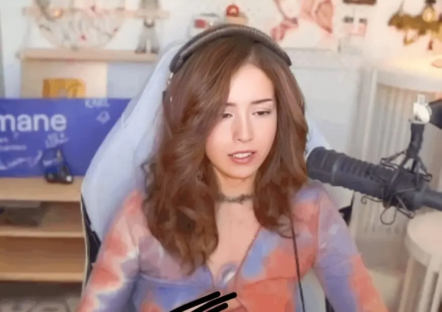 Pokimane Wardrobe Malfunction