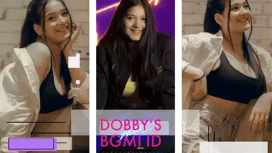 Dobby's BGMI ID