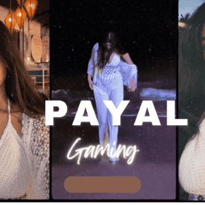 payal gaming net dress