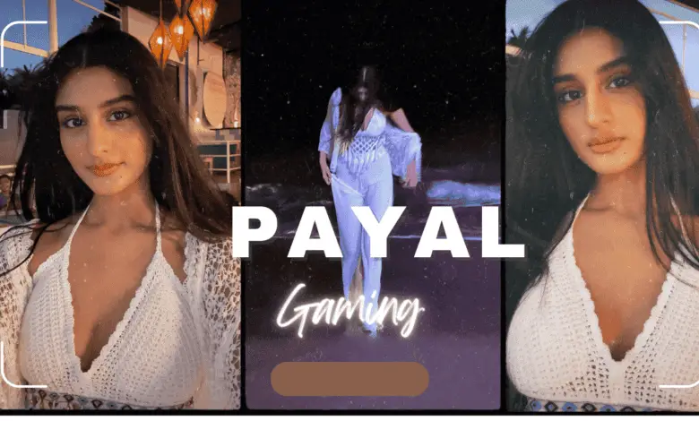 payal gaming net dress