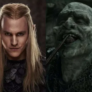 img66436caaf27898f532d75ac3