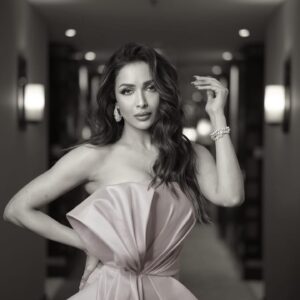 malaikaaroraofficial_1716608414_3375478489727363120_1277111693